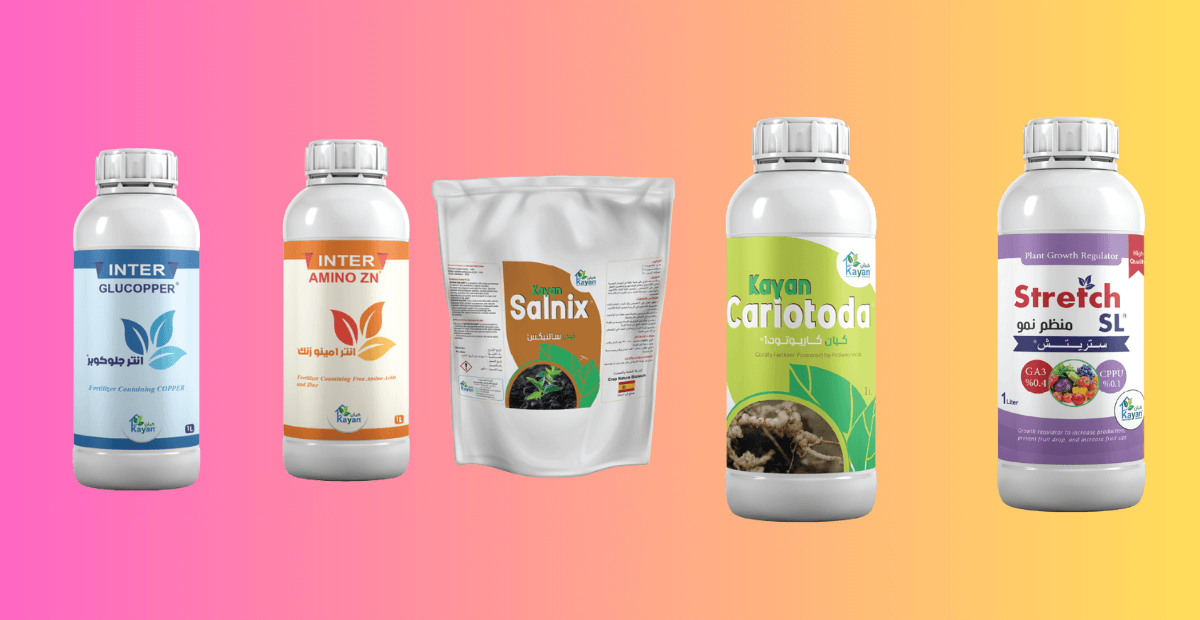 منتجات كيان 2025