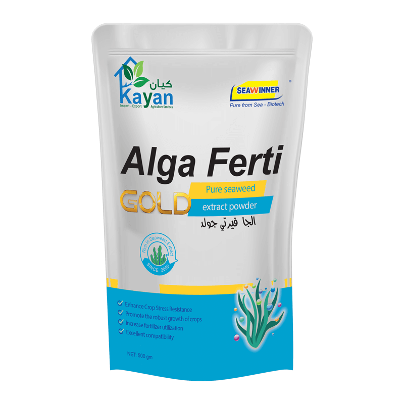 kayan verti gold kayan verti gold