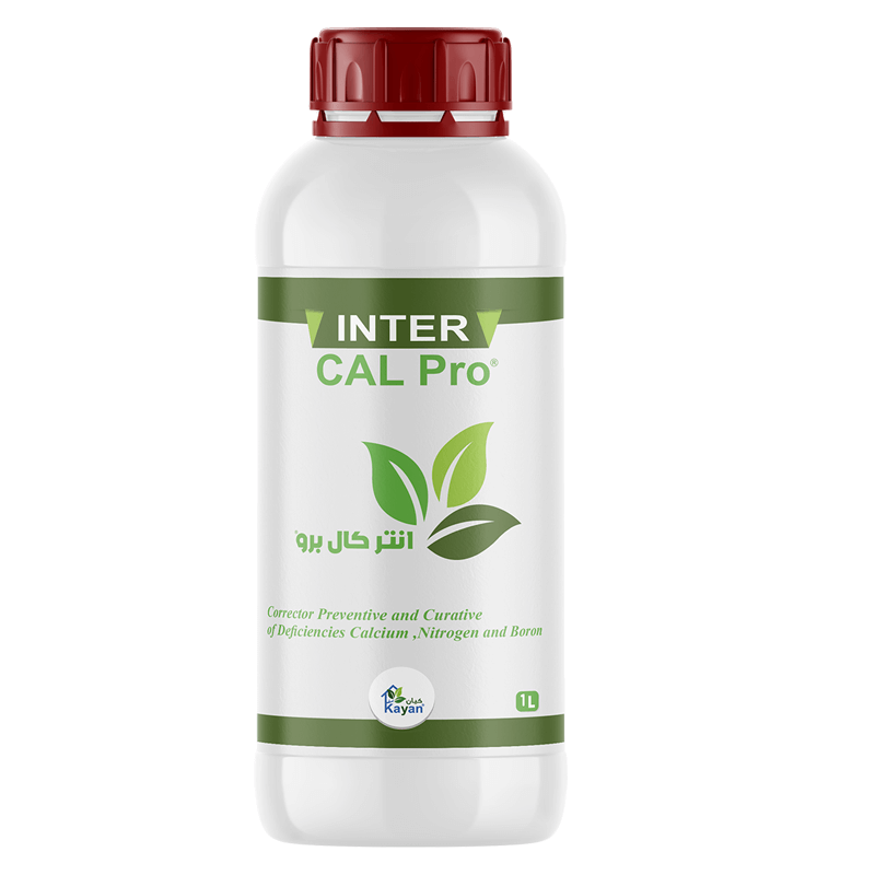 انتر-كال-برو-1 انتر كال برو