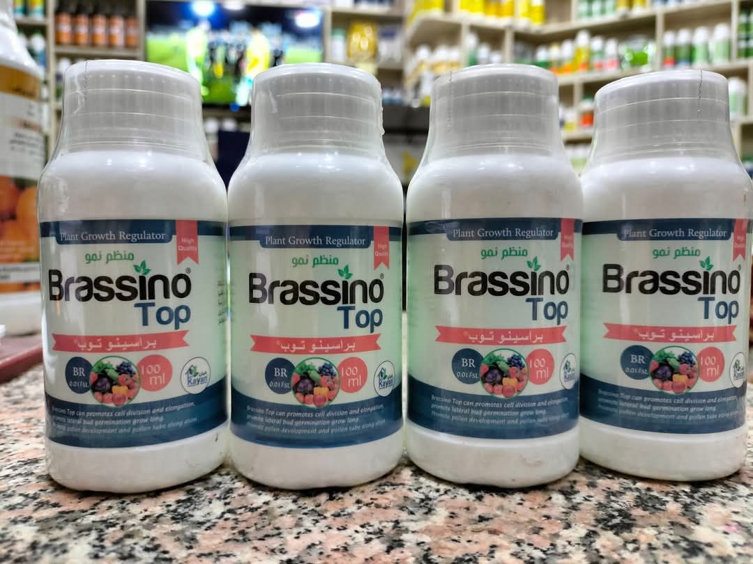 براسينو توب كيان