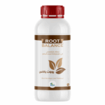 روت بالانس شركة كيان