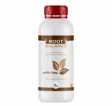 روت بالانس شركة كيان