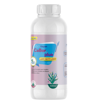 كيان كابور بلس