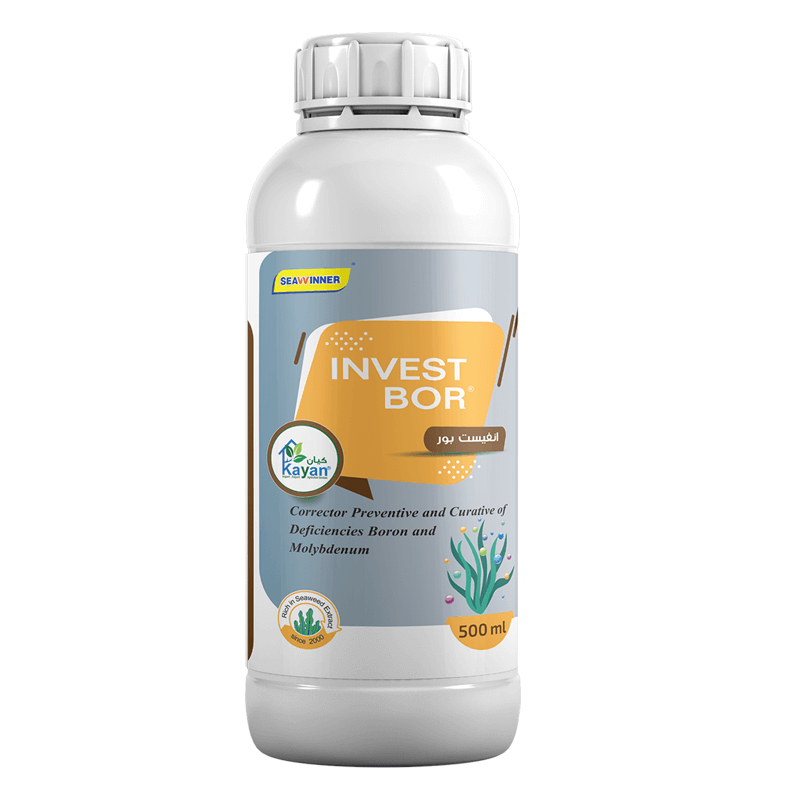 انفست بور انفيست بور - الصورة 1