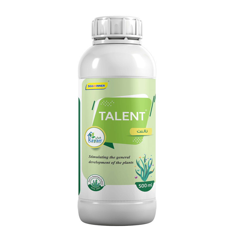 تالنت تالنت قوة الاحماض الامينية مع الطحالب البحرية - الصورة 1