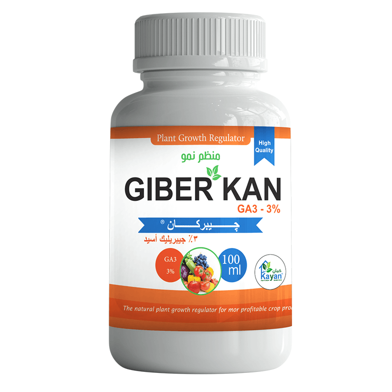 جيبر كان چيبركان - الصورة 1