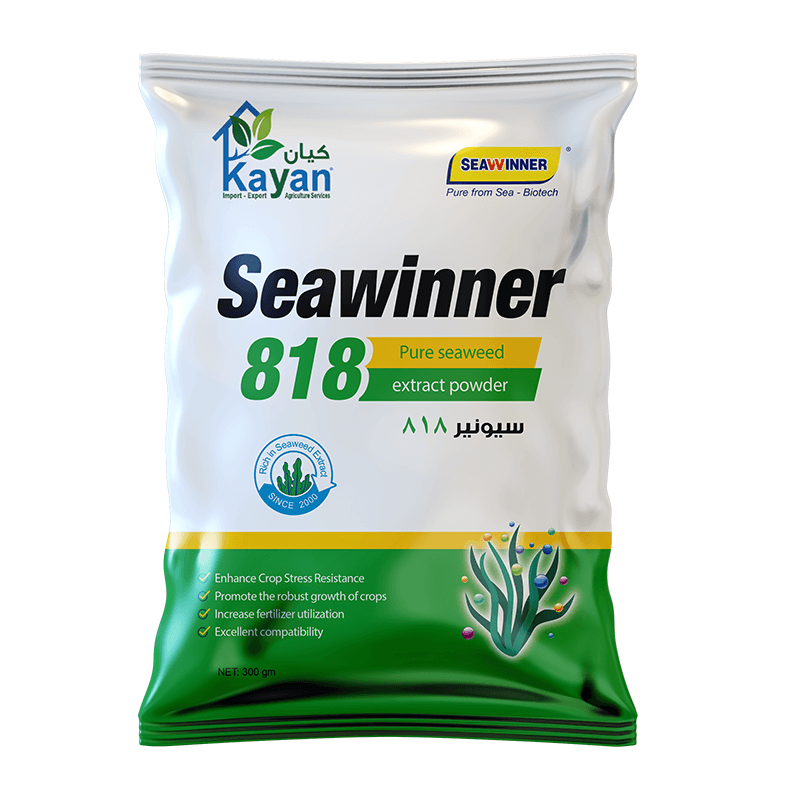 سي ونر 818 سيونير 818 - الصورة 1