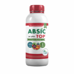 ABSIC TOP