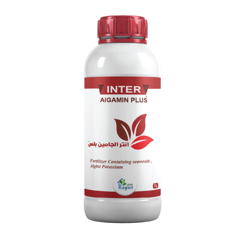 Algamin plus انتر الجامين بلس