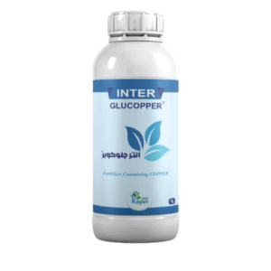 INTER GLUCOPPER