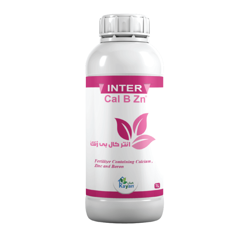 inter cal B zn انتر كال بى زنك - الصورة 1