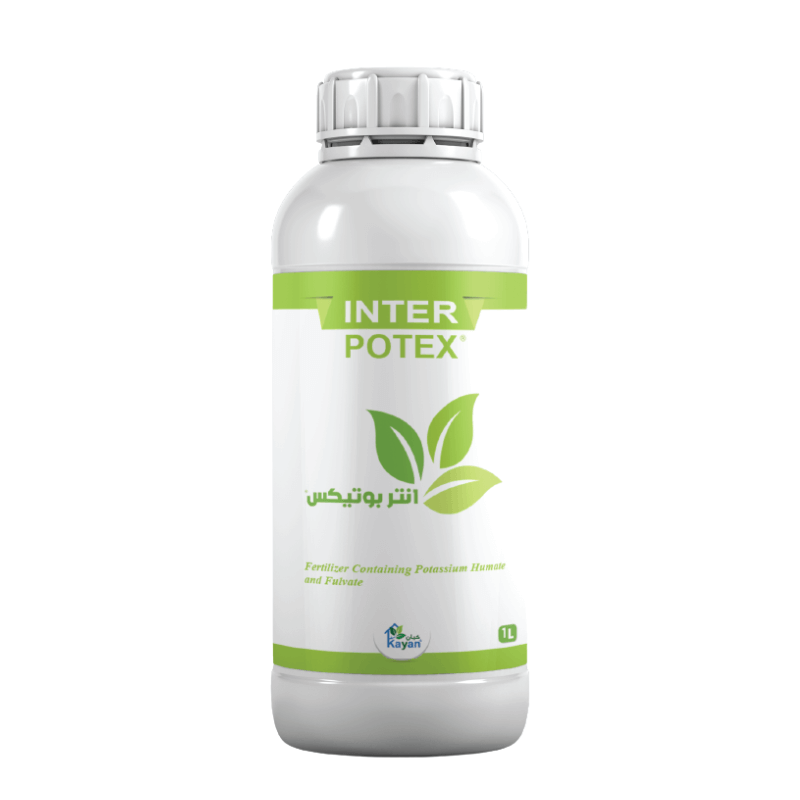 INTER POTEX INTER POTEX