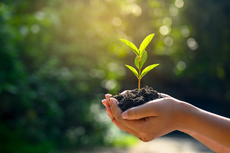 Agricultural fertilizers