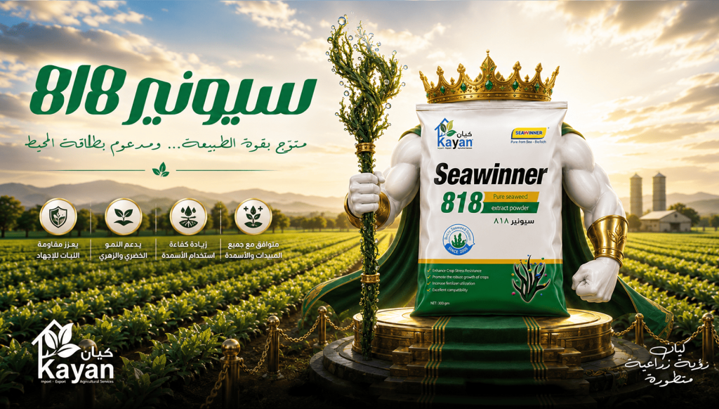 SEAWINNER