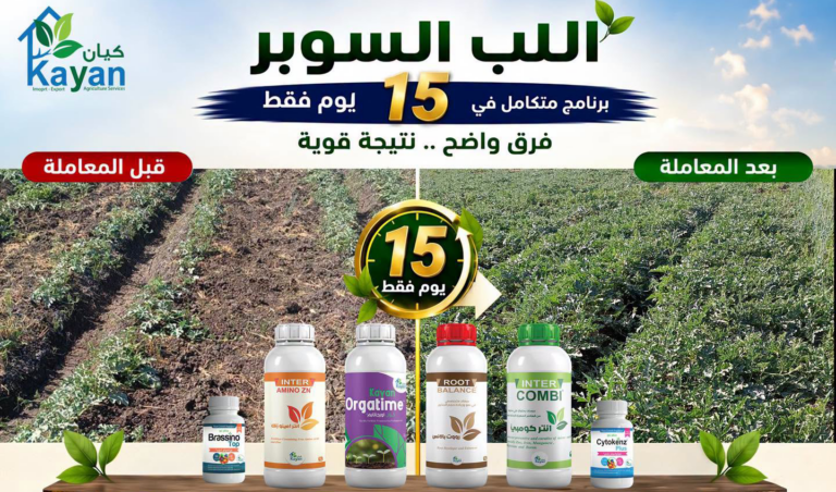 Field Trial | Super Hull Crop Program During the First 15 Days