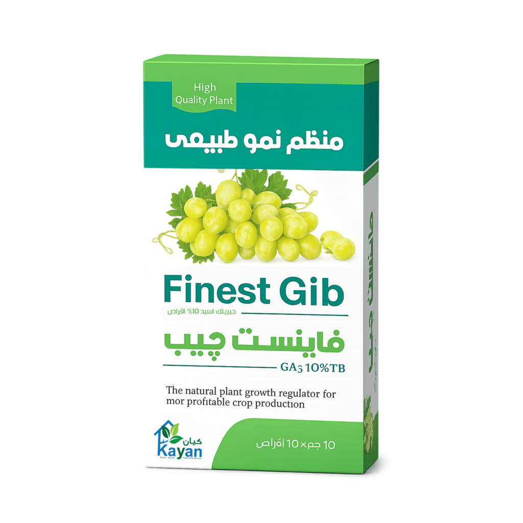 Finest Gib ®