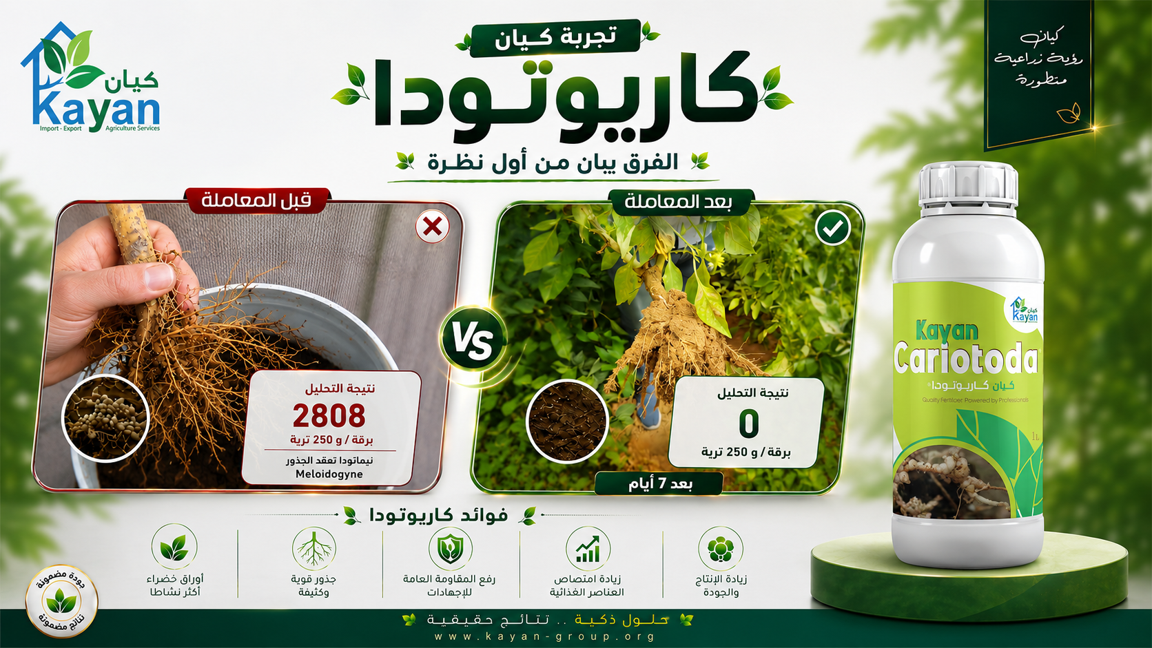 Field Trial Demonstrates the Performance of Kariotoda by Kayan Against Root-Knot Nematodes