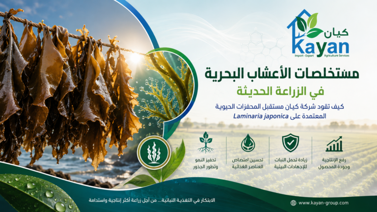 Seaweed Extracts in Modern Agriculture